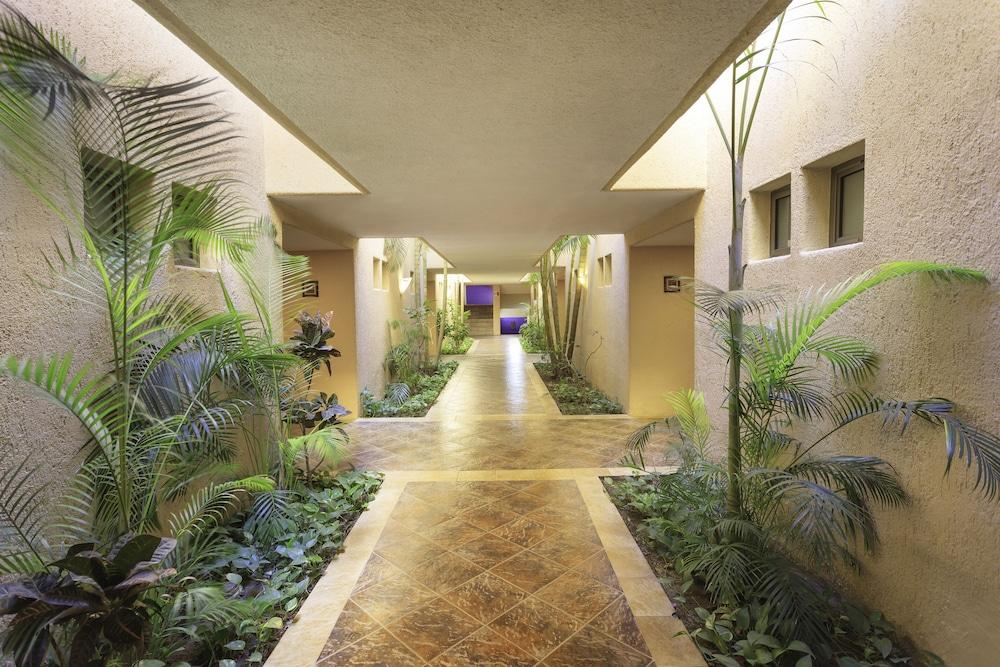 Hotel Los Patios Cabo San Lucas Ngoại thất bức ảnh