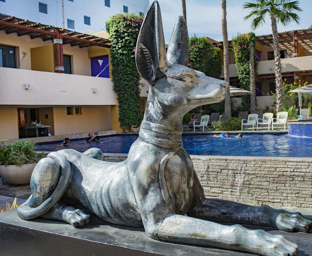 Hotel Los Patios Cabo San Lucas Ngoại thất bức ảnh